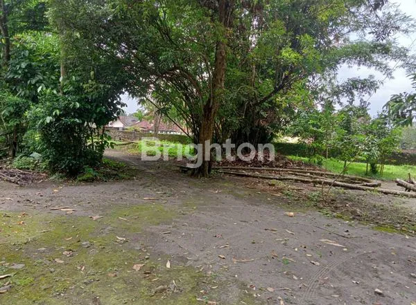 image 100 METER DARI JALAN RAYA PEKARANGAN LUAS (1)