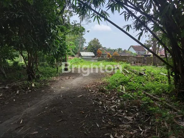 image 100 METER DARI JALAN RAYA PEKARANGAN LUAS (2)