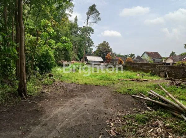 image 100 METER DARI JALAN RAYA PEKARANGAN LUAS (4)