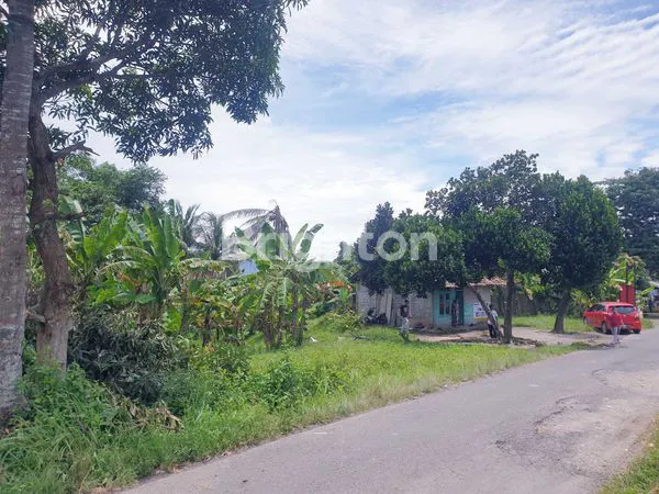 image TANAH DI JLN. TAMAN AGUNG, KALIANDA, LAMPUNG SELATAN, LAMPUNG (3)