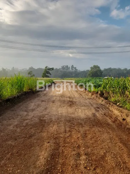 image KAVLING KOTA BARU (1)