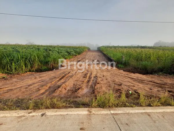 image KAVLING KOTA BARU (2)