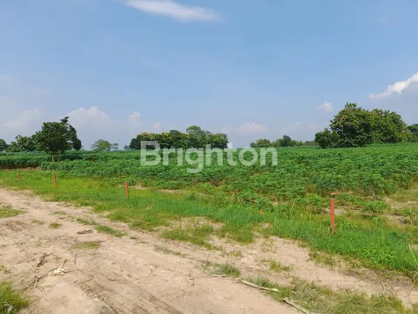 image KAVLING KOTA BARU (3)