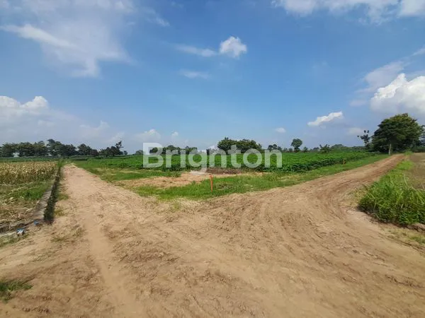 image KAVLING KOTA BARU (4)