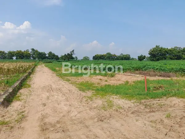 image KAVLING KOTA BARU (5)