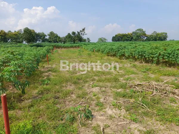 image KAVLING KOTA BARU (7)