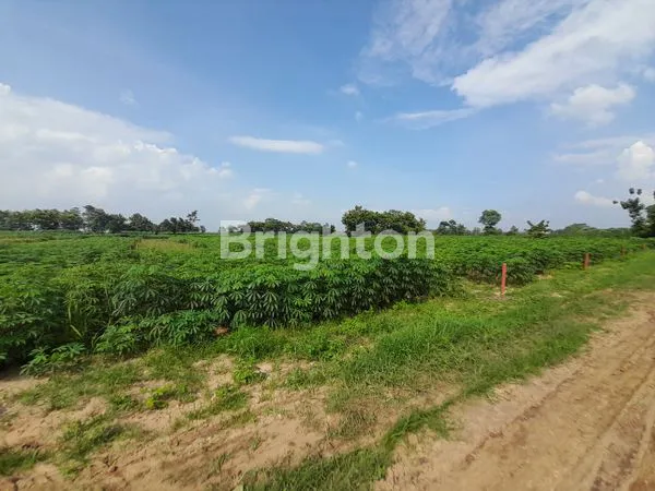 image KAVLING KOTA BARU (8)