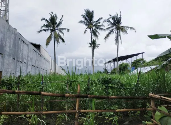 image TANAH COCOK UNTUK INVESTASI/ GUDANG DLL DI LOKASI STRATEGIS, SANGAT DEKAT EXIT TOL PAKIS, JALAN RAYA AMPELDENTO, BUNUT WETAN, BOKO, ASRIKATON, PAKIS, KABUPATEN MALANG, JAWA TIMUR (1)