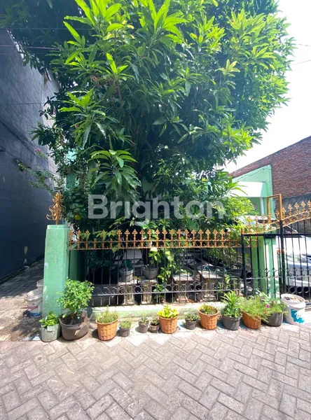 image RUMAH MOJO KLANGGRU 1 LANTAI (1)