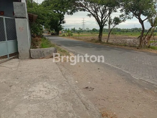 image TANAH SAWAH KEJAYAN PASURUAN 11.593 M² (3)