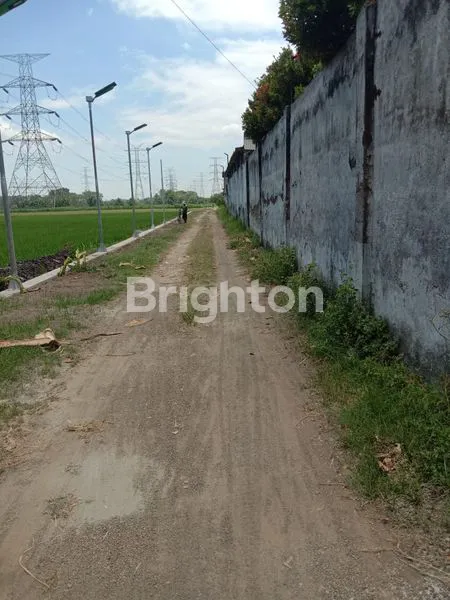 image TANAH SAWAH KEJAYAN PASURUAN 11.593 M² (5)