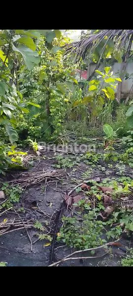 image TANAH PEKARANGAN DISENTOLO (5)