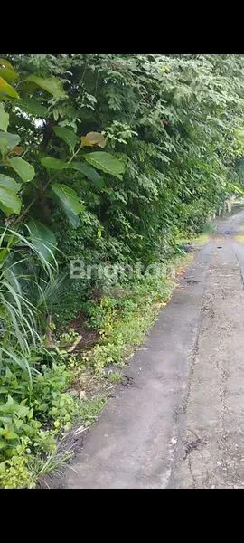 image TANAH PEKARANGAN DISENTOLO (3)