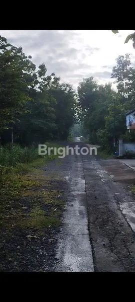 image TANAH PEKARANGAN DISENTOLO (4)