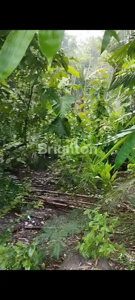 image TANAH PEKARANGAN DISENTOLO (8)