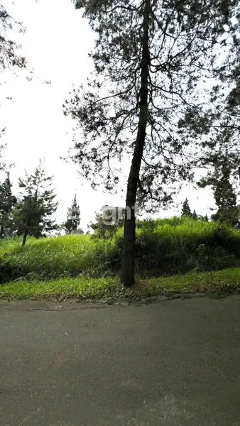 image TANAH DATAR COCOK BUAT RUMAH DAN VILLA DI KOMPLEK GIRI INDAH PARONGPONG (2)