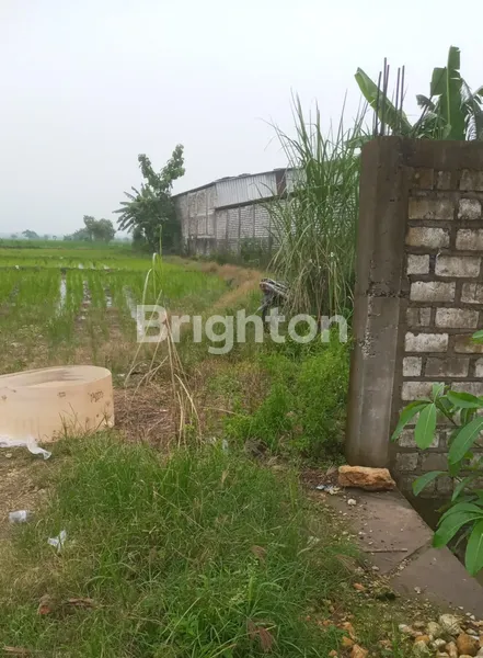 image TANAH DI RAYA WONOREJO BALONGPANGGANG GRESIK (2)