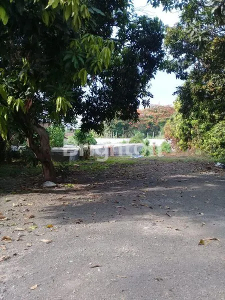 image TANAH INDUSTRI GEMPOL DEKAT GUNUNG GANGSIR PASURUAN (2)