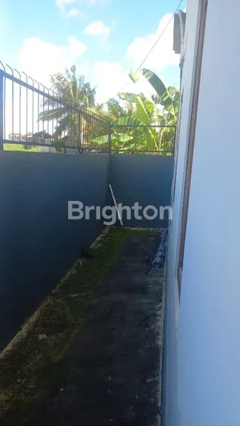 image RUMAH DI MENGWI VIEW SAWAH  (8)