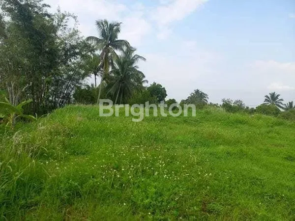 image TANAH STRATEGIS LOKASI LEREP UNGARAN BARAT KABUPATEN SEMARANG (1)