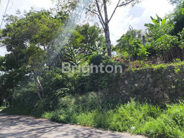 image TANAH HOOK CIPAKU, JALAN UTAMA (6)