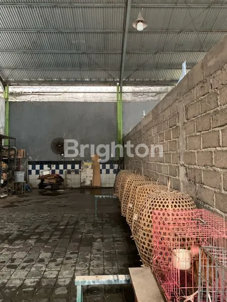 image TANAH DI BUANA RAYA PADANG SAMBIAN BISA AMBIL SEPARONYA (4)