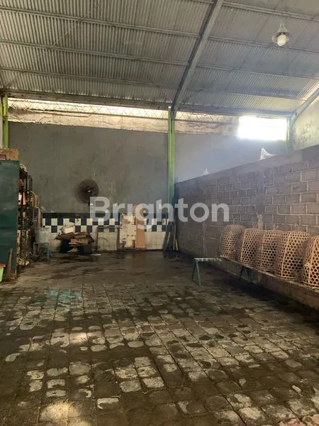 image TANAH DI BUANA RAYA PADANG SAMBIAN BISA AMBIL SEPARONYA (8)