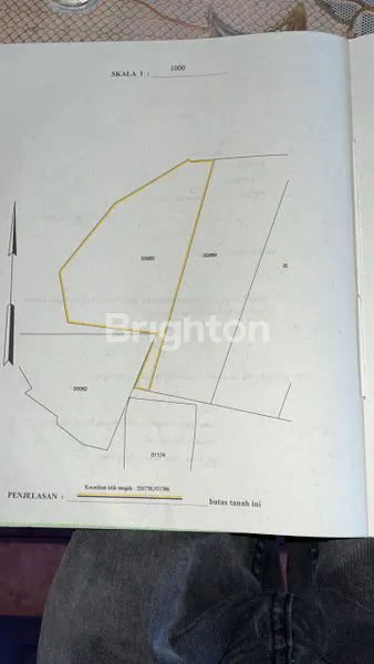 image TANAH MURAH (4)