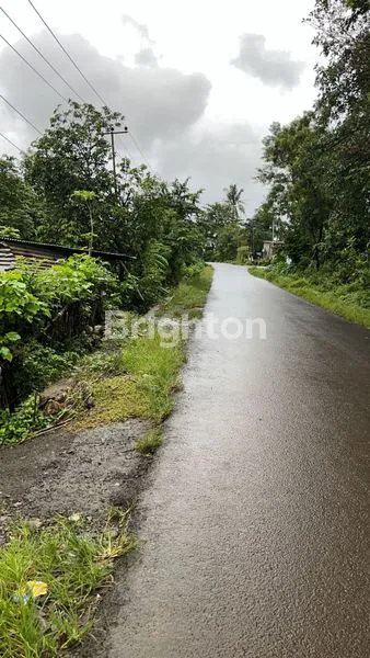 image TANAH MURAH (3)