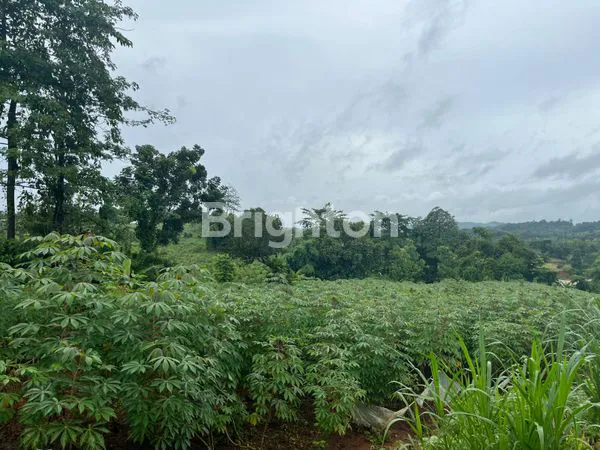 image TANAH MURAH (1)