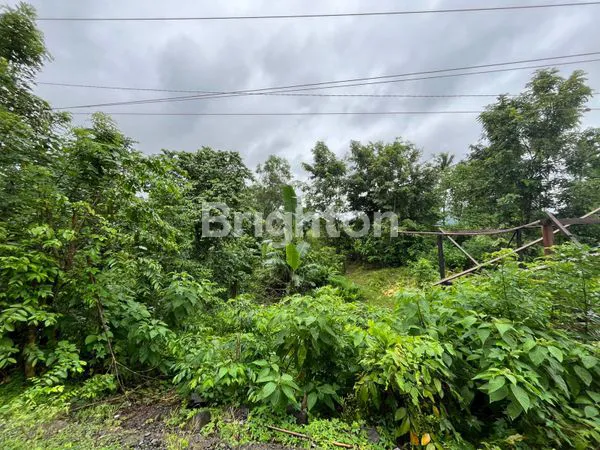 image TANAH MURAH (2)