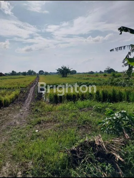 Gambar Property TANAH KAVLING DESA SLEMPIT DEKAT CITRALAND KEDAMAEAN