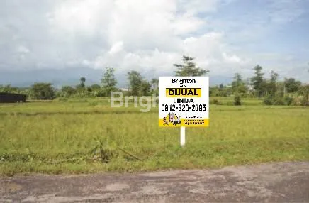 Gambar Property TANAH MURAH NOL JALAN RAYA SITUBONDO SHM