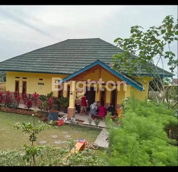 image VILLA MERAH PUTIH DI BAWAH KAKI GUNUNG SALAK CIAPUS TAMANSARI  BOGOR (2)