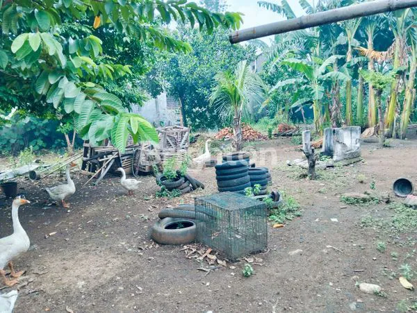 image TANAH DATAR STRATEGIS (NGANTONG) (2)