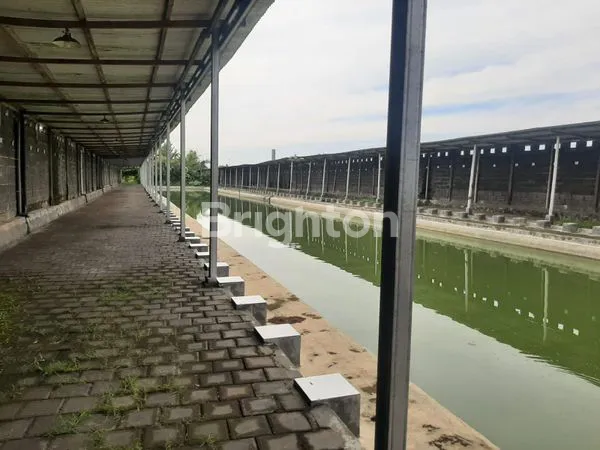 TANAH BONUS RUMAH MAKAN+KOLAM PEMANCINGAN-JENARSARI KENDAL (SEMARANG BARAT)