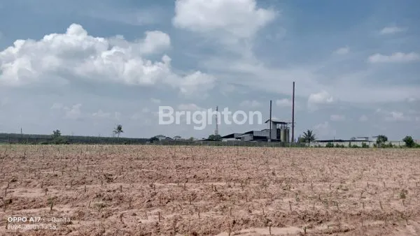 DIJUAL TANAH LUAS SANGAT STRATEGIS DAN COCOK UNTUK INVESTASI - DI LEMATANG LAMPUNG SELATAN