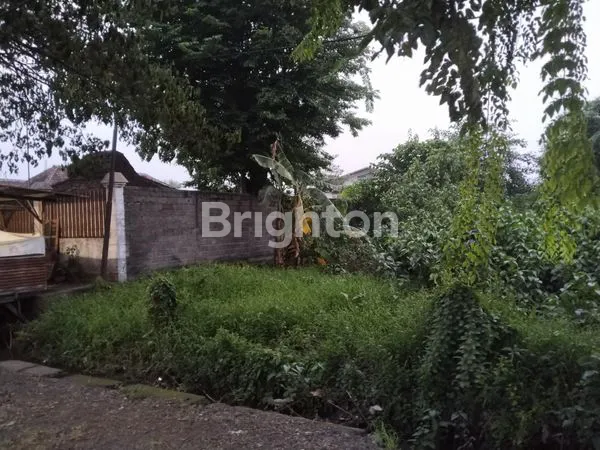 image TANAH INDUSTRI PABRIK  NOL  JALAN PANTURA KRATON PASURUAN (5)