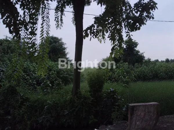 image TANAH INDUSTRI PABRIK  NOL  JALAN PANTURA KRATON PASURUAN (4)
