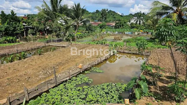 image TANAH MURAH TENGAH KOTA DI JALAN LOA BAKUNG PASAR KEMUNING KOTA SAMARINDA (5)
