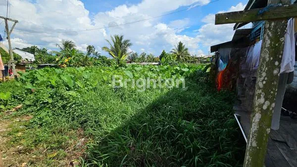 image TANAH MURAH TENGAH KOTA DI JALAN LOA BAKUNG PASAR KEMUNING KOTA SAMARINDA (2)