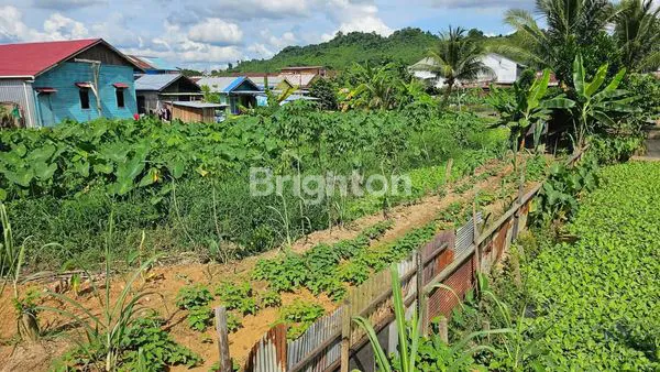 image TANAH MURAH TENGAH KOTA DI JALAN LOA BAKUNG PASAR KEMUNING KOTA SAMARINDA (6)