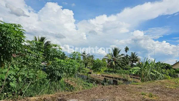 image TANAH MURAH TENGAH KOTA DI JALAN LOA BAKUNG PASAR KEMUNING KOTA SAMARINDA (4)