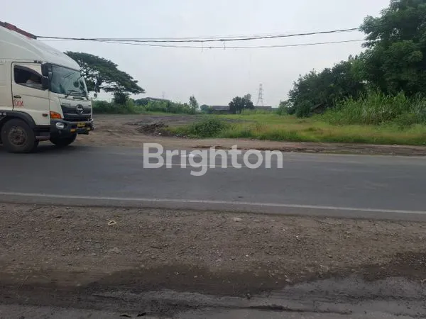 image DRIYOREJO TANAH NOL JALAN LOKASI STRATEGIS (3)