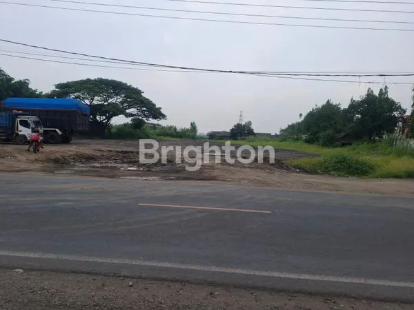 image DRIYOREJO TANAH NOL JALAN LOKASI STRATEGIS (5)