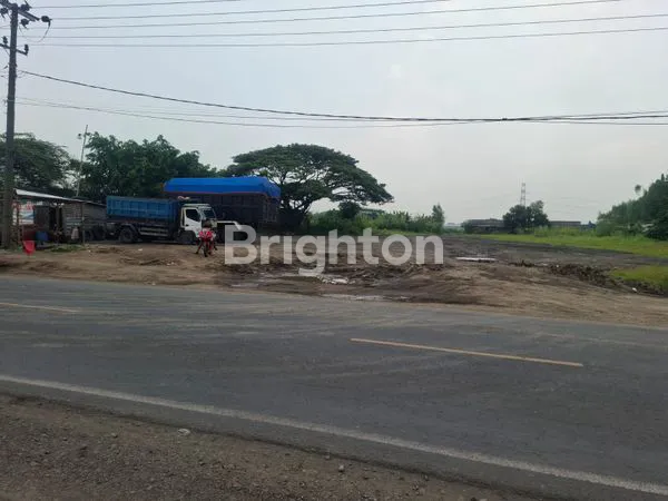 image DRIYOREJO TANAH NOL JALAN LOKASI STRATEGIS (4)