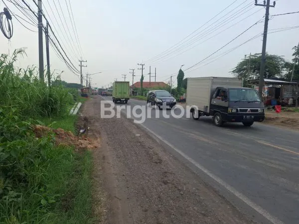 image DRIYOREJO TANAH NOL JALAN LOKASI STRATEGIS (6)