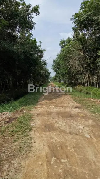 image TANAH LUAS 3000 JLN MATOA (6)