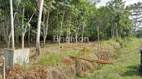 image TANAH LUAS 3000 JLN MATOA (2)