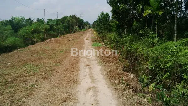 image TANAH LUAS 3000 JLN MATOA (4)